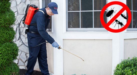 Havran Hamam Böceği İlaçlama böcek ilaçlama ve haşere kontrolü — ilaclama-tr.com